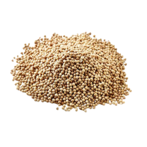 بدر كزبرة حب 80غ